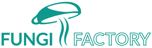 Fungi Factory - Workshops en Snacks